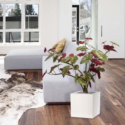 Begonia Maculata kunstplant 110cm Begonia Maculata kunstplant 110cm