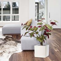 Begonia Maculata kunstplant 110cm - thumbnail