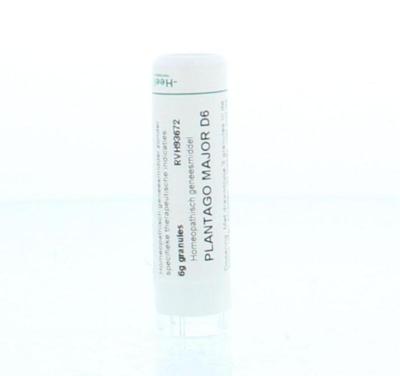 Homeoden Heel Plantago major D6 6 Gram