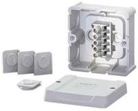 Hensel DP 9025 Aftakkast (l x b x h) 88 x 88 x 49 mm Grijs IP54 1 stuk(s) - thumbnail