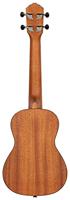 Ortega Bonfire Series RU5MM concert ukelele - thumbnail