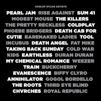 Dunlop Nylon Standard 0.38mm 12-pack plectrumset wit - thumbnail