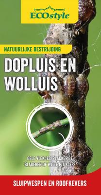 Roofkever tegen wolluis larven 25 st ECOStyle Natuurlijke Vijanden - Ecostyle natuurlijke vijanden