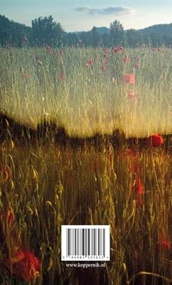 Zwarte zomer (Paperback)