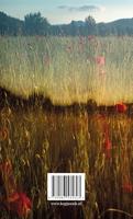 Zwarte zomer (Paperback) - thumbnail