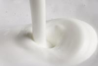 Philips CA6500/63 Milk Twister Melkopschuimer Zwart - thumbnail