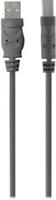 USB 2.0-kabel Belkin F3U154BT3M - thumbnail
