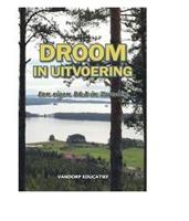 Droom in uitvoering - Petra Raming - ebook - thumbnail