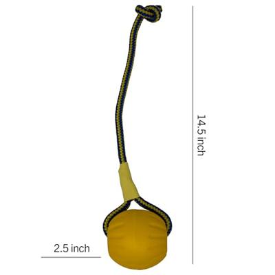 Starmark swing &apos;n fling durafoam fetch bal aan koord