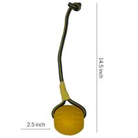 Starmark swing &apos;n fling durafoam fetch bal aan koord - thumbnail