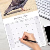 Duiven Kalender 2026 - thumbnail