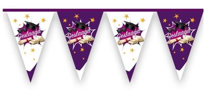 Vlaggenlijn geslaagd paars - 6 meter