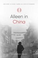 Alleen in China - Zogenaamd David - ebook - thumbnail