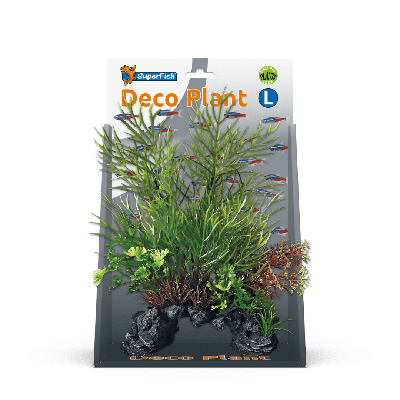 Deco plant l ceratopteris