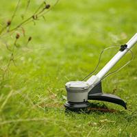 Bosch Home and Garden AdvancedGrassCut 36V-33 Grastrimmer Accu Zonder accu, Zonder lader 36 V Snijbreedte max.: 33 mm - thumbnail