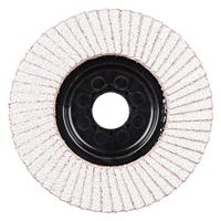 Rhodius 210476 LGA ALU Lamellenschijf Diameter 125 mm Boordiameter 22.23 mm Non-ferrometaal 1 stuk(s) - thumbnail