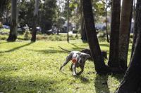 Waboba Woofpack - thumbnail