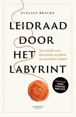 Leidraad door het labyrint - Evelien Bracke - ebook