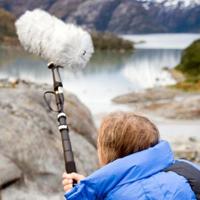 Rode Mini Boompole zwart - thumbnail