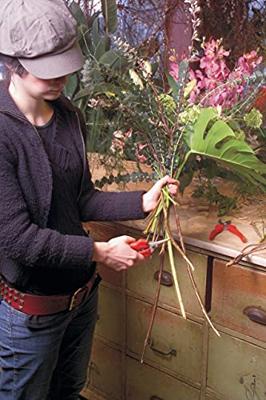 Felco 310 310 Oogstschaar 185 mm Bypass