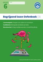 Begrijpend Lezen (Paperback) - thumbnail