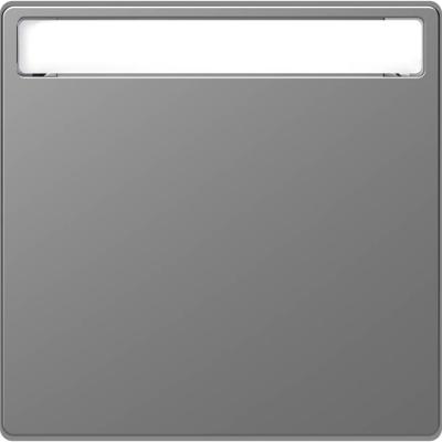 Merten MEG3360-6036 Wisselschakelaar Afdekking System Design RVS 1 stuk(s)