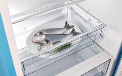 ETNA FRIGO KVV754GRO combi-koelkast Vrijstaand 254 l E Groen