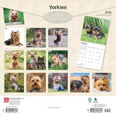 Yorkshire Terrier Kalender 2026 Yorkshire Terrier Kalender 2026