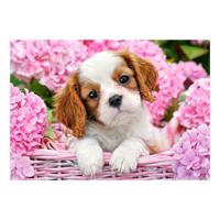 Selecta Castorland legpuzzel pup in pink flowers, 500st. - thumbnail