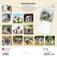 Keeshond Kalender 2026 - thumbnail