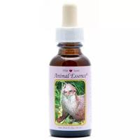 Animal Essences Otter 30 Milliliter - thumbnail