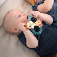 Hondenmand - TYROL - Toronto ovaal kussen - 60 x 40 x 3 cm - thumbnail