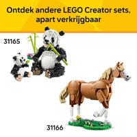 Lego Creator 31173 3in1 Wilde Dieren Tropische Toekan - thumbnail