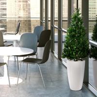 Laurier Tower kunstplant 115cm - thumbnail