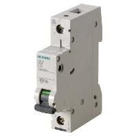 Siemens 5SL61026 5SL6102-6 Zekeringautomaat 2 A