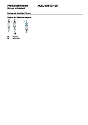 Telemecanique XCKJ10513H29 XCKJ10513H29 Eindschakelaar Rolhendel IP66 1 stuk(s)