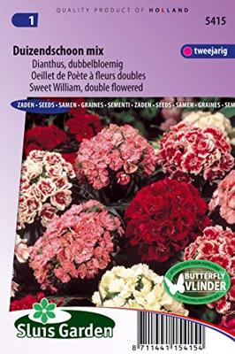 Dianthus Barbatus zaden Duizendschoon dubbel