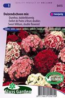 Dianthus Barbatus zaden Duizendschoon dubbel - thumbnail