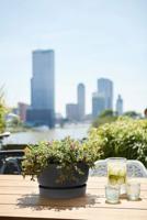 Elho Greenville schaal 33 cm living black - thumbnail