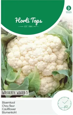Zaden Bloemkool Walcheren Winter 5 Hortitops - Hortitops