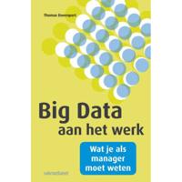 Big data (Paperback) - thumbnail