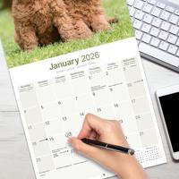 Poodle Calendar 2026 Square Dog Breed Wall Calendar - 16 Month - thumbnail