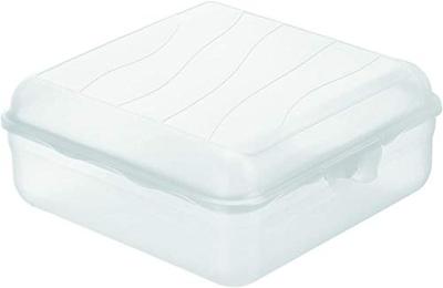 Rotho Fun Lunchbox Vierkant 2.35L Transparant