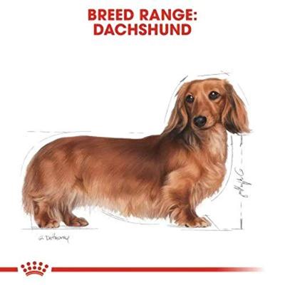 Royal Canin Adult Dachshund (Teckel) hondenvoer 2 x 1,5 kg - thumbnail