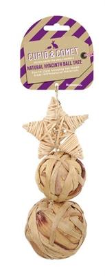 CUPID & COMET TRIO BOOM VAN WATERHYACINT