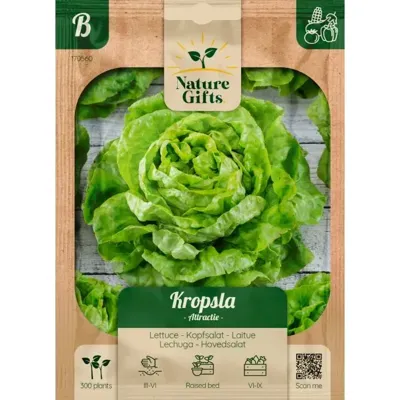 Kropsla attractie 300st