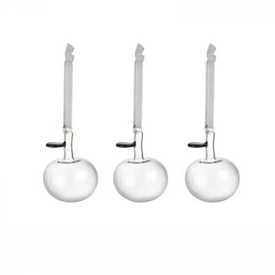 Iittala Kerst 2021 Glazen appel helder set van 3