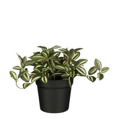 Kunstplant mica tradescantia in pot groen | 6 stuks