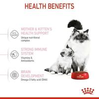 Royal Canin Mother & Babycat 34 droogvoer voor kat 0,4 kg - thumbnail