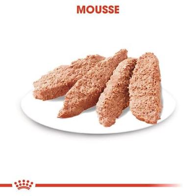 Royal Canin Digestive Care natvoer hondenvoer zakjes 12x85g
